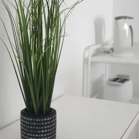 Palmeira Comfort Aveiro Exterior photo
