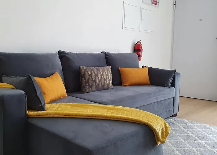 Palmeira Comfort