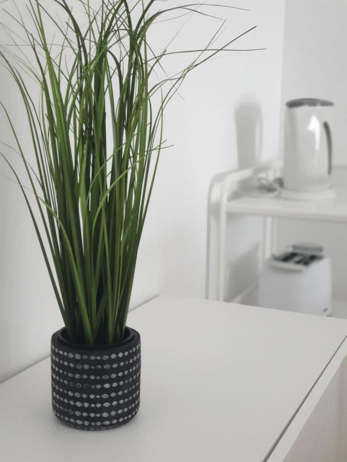Palmeira Comfort Aveiro